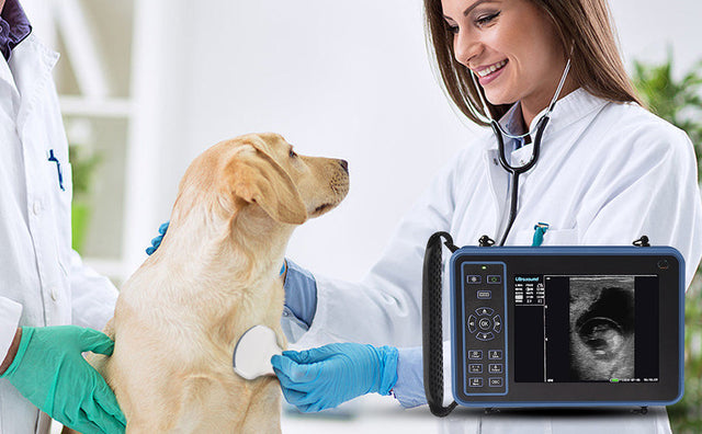 Medical and Biological Detection